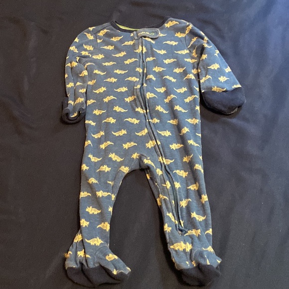 For the Love of Dinosaurs 🦕 🦖 - Picture 4 of 5